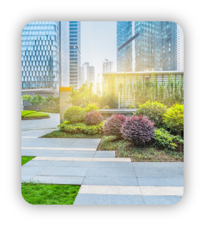 Landscape Maintenance