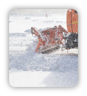 Snow Removal